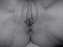 op verzoek!!, foto 4000x3000, 79 reacties, 273 stemmen