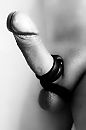 oxballs, foto 2228x3339, 10 reacties, 18 stemmen