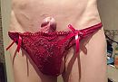 piep, foto 542x383, 24 reacties, 51 stemmen
