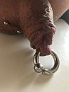 pik met ring voor de ketting, foto 3000x4000, 1 reacties, 7 stemmen