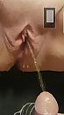 pis kut, foto 1080x1920, 3 reacties, 23 stemmen