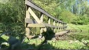 pissen van een brug, film 00:00:00, 15 reacties, 54 stemmen