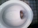 plas video, film 00:00:00, 3 reacties, 10 stemmen