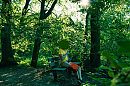 playing in the woods, foto 3888x2592, 3 reacties, 19 stemmen