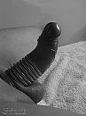 ringeding, foto 545x728, 7 reacties, 19 stemmen
