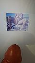 samensexen, foto 2250x4000, 1 reacties, 2 stemmen