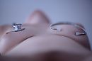 stet, foto 4000x2666, 0 reacties, 10 stemmen