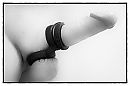 stretched, foto 4000x2669, 7 reacties, 18 stemmen