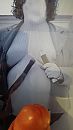sudocouple, foto 2250x4000, 2 reacties, 1 stemmen