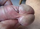 toompje...., foto 2048x1536, 21 reacties, 44 stemmen