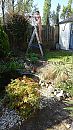 tuin onderhoud, foto 2248x4000, 0 reacties, 9 stemmen