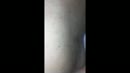under the duvet, film 00:00:26, 0 reacties, 18 stemmen