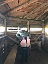 vogels spotten, foto 1200x1600, 63 reacties, 231 stemmen