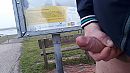 ..voor broed- en trekvogels.., foto 4000x2250, 4 reacties, 12 stemmen