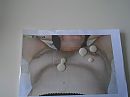 voor stel 1996, foto 2592x1944, 4 reacties, 10 stemmen