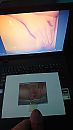 voor stewiep141, foto 2250x4000, 1 reacties, 3 stemmen