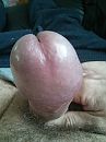 kojak.mmmmm, foto 2448x3264, 3 reacties, 5 stemmen