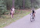weer een fietser tegengekomen, foto 3144x2216, 24 reacties, 145 stemmen