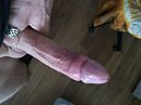 wie heeft er ook zin?, foto 4000x3000, 6 reacties, 20 stemmen