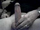 wie wil hem nu, foto 640x480, 0 reacties, 0 stemmen