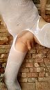 witte bodysuit, foto 1458x2592, 2 reacties, 8 stemmen