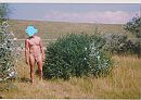 zomer, foto 1742x1240, 54 reacties, 166 stemmen