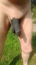 zwarte piet, foto 1458x2592, 4 reacties, 17 stemmen