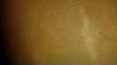 ....., film 00:00:24, 10 reacties, 178 stemmen