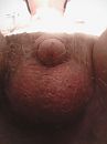 -, foto 480x640, 1 reacties, 1 stemmen