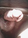 -, foto 480x640, 0 reacties, 2 stemmen
