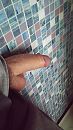 011, foto 2250x4000, 0 reacties, 2 stemmen