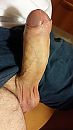 05, foto 2250x4000, 1 reacties, 2 stemmen