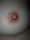 0, foto 1440x1920, 2 reacties, 11 stemmen