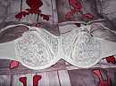 100HH wie wil hem +slips, foto 4000x3000, 3 reacties, 11 stemmen