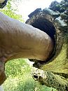 1 met de natuur., foto 960x1280, 3 reacties, 8 stemmen