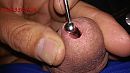 12mm sound + sperma stopper, foto 3968x2240, 7 reacties, 22 stemmen