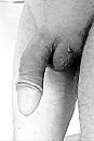 ....wat volgt?, foto 2336x3470, 2 reacties, 10 stemmen