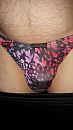 ., foto 899x1599, 4 reacties, 11 stemmen