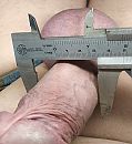 paal 48 mm, foto 2592x2810, 1 reacties, 6 stemmen