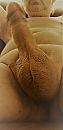 392, foto 1190x2425, 2 reacties, 5 stemmen