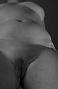 43, foto 593x889, 24 reacties, 111 stemmen