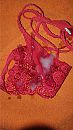 Ab zn portie zaad op string, foto 1260x2240, 11 reacties, 16 stemmen