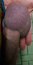 Afgebonden ballen, foto 2048x4000, 0 reacties, 3 stemmen