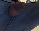 Alles wat leeft, foto 2048x1678, 0 reacties, 3 stemmen