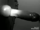 Als het geil is kan alles..., film 00:00:00, 23 reacties, 173 stemmen