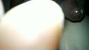 Anaal sex, film 00:00:00, 3 reacties, 41 stemmen