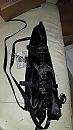 Arm binders, foto 720x1280, 0 reacties, 3 stemmen