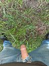 Avond wandeling en geil, foto 3000x4000, 2 reacties, 11 stemmen