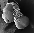 B&W close up met ringen., foto 1020x999, 3 reacties, 14 stemmen