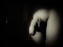 B&W close up, spotlight., foto 2576x1932, 3 reacties, 6 stemmen